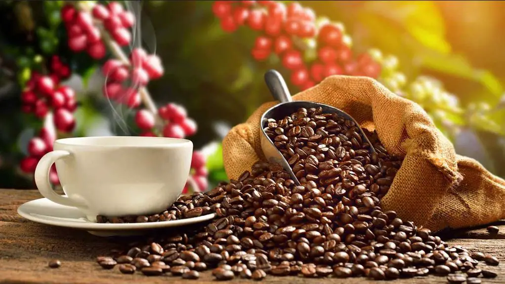 الكبريت عقد العقد ممتن  مراحل إنتاج القهوة - موقع ابحاث