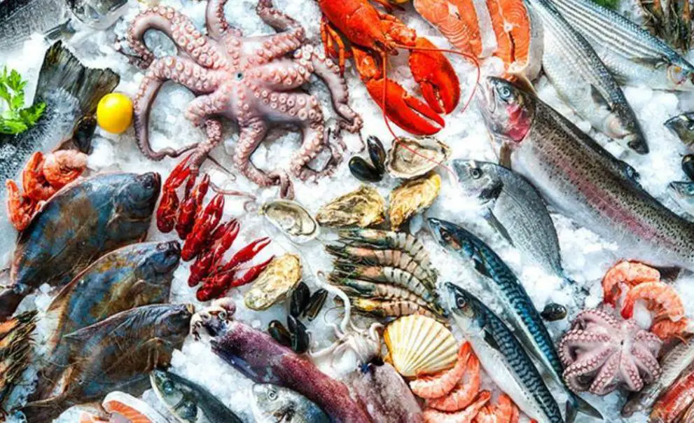 افضل الأكلات البحرية ,10 اكلات شهية ومفيده - موقع ابحاث