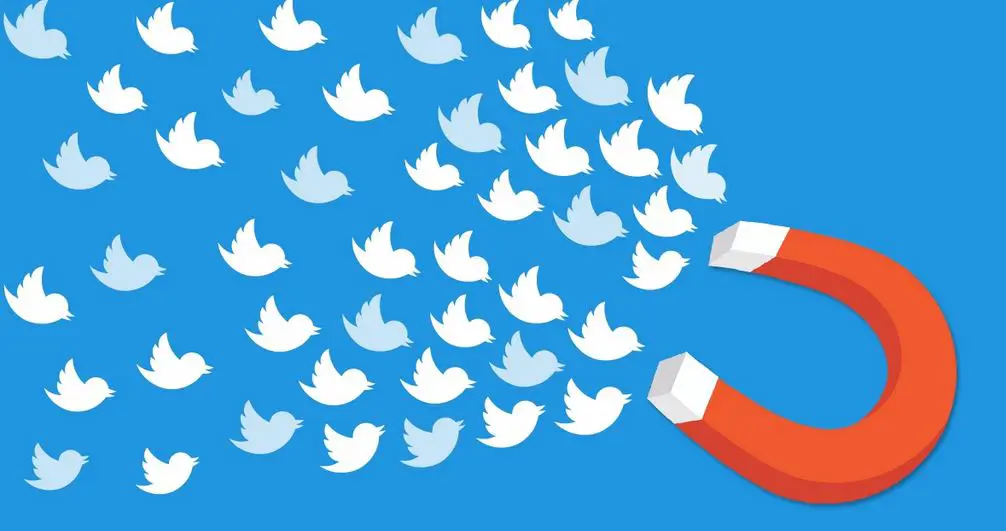 كيف تكسب متابعين على تويتر 2022