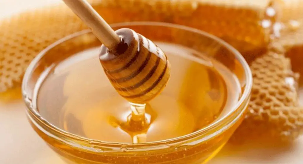 افضل انواع العسل في العالم