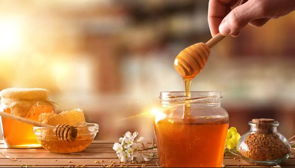 بحث شامل عن العسل ،فوائده وانواعه ومصادره