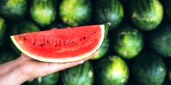 كيف تعرف البطيخة الحمراء الناضجة والحلوة من البطيخ الأقرع