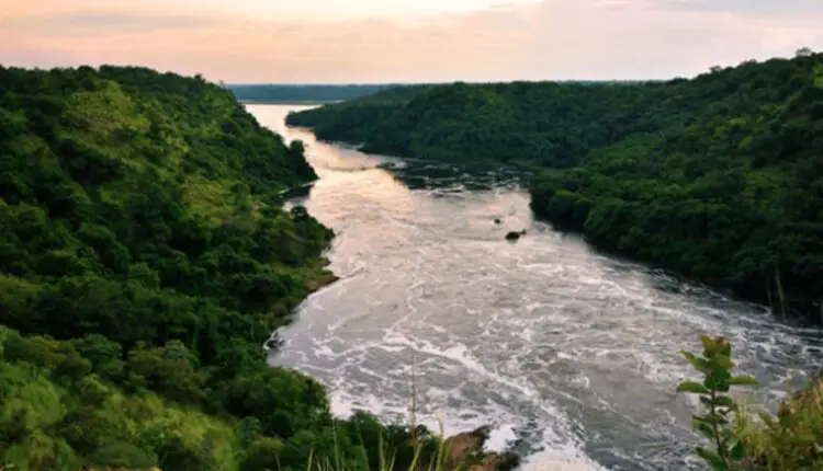 عدد الأنهار الموجودة في العالم