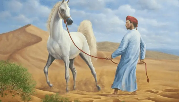 اصل الحصان العربي